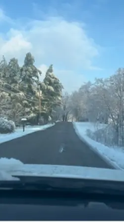 Winter wonderland