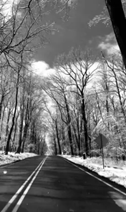 Snowy