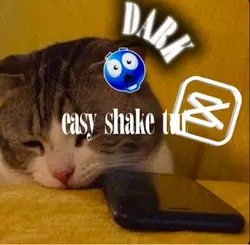 easy shake tut