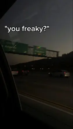 ayesha ericota