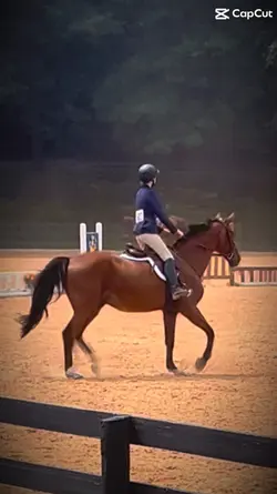 EQ flat round 1