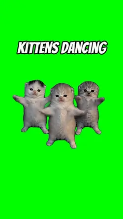 KITTENS DANCIN