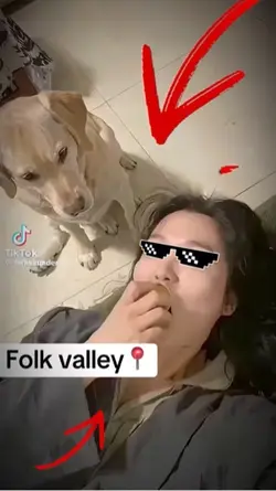 Folk valley📍