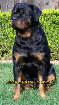 use foto do seu dog