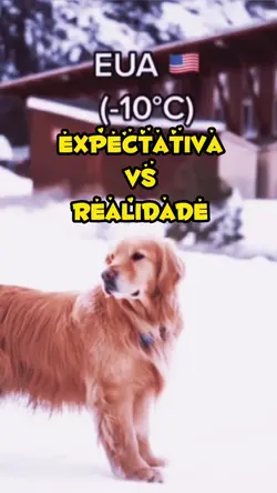 Trend do frio usem 