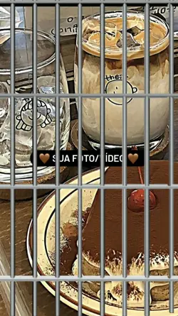 𒄬 Novo Modelo﹗