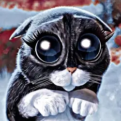 gatito ~ Ray