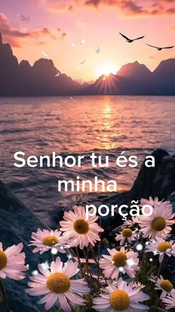 Bom com a Santa Paz 