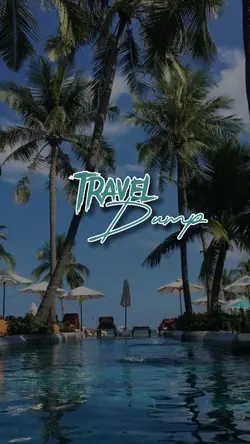 Your Travel Dump 🏝️