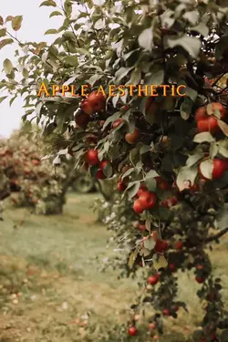 apple aesthetic 