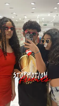 StopMotion Friends