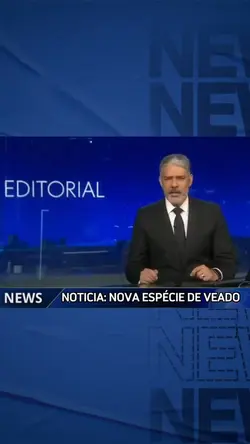 Nova espécie de vead