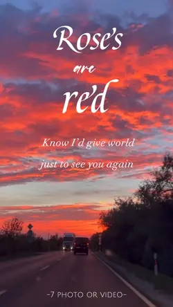 Roses are red 🌹