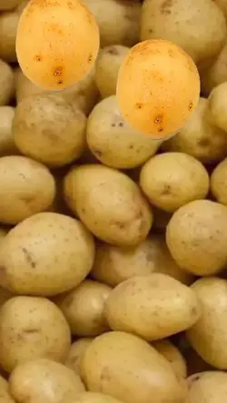 batata