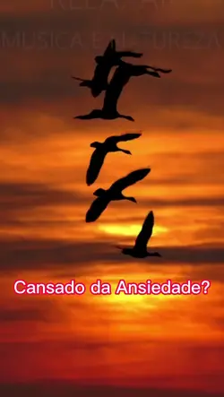 Paz
