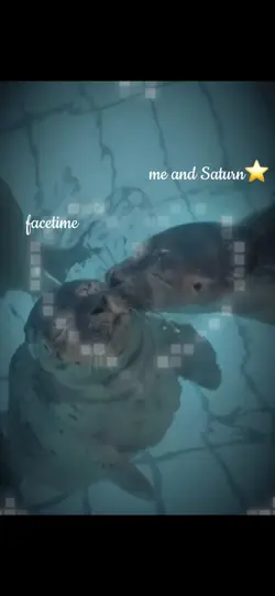 Seals💅🏻