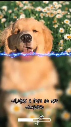 Seu Dog em desenho 