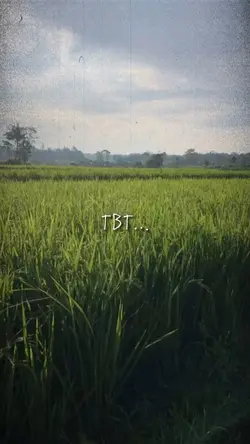 TBT