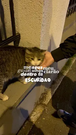 velha infância 