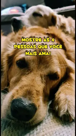 4Pessoas que + ama