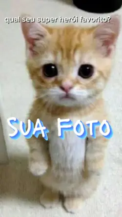 herói favorito 