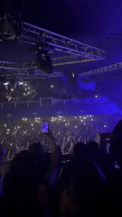 Concert vlog 