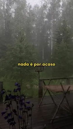 só quem tem raiz
