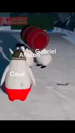 pinguim 