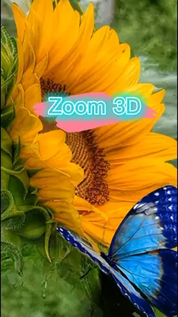 modelo zoom 3D