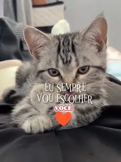 Amor q não machuca♥️