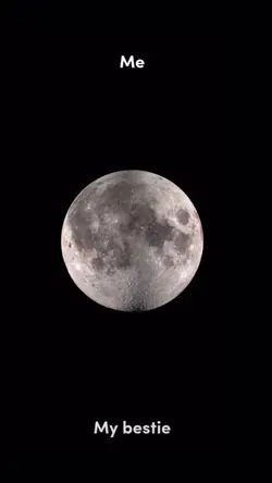 Trend Moon Phase 