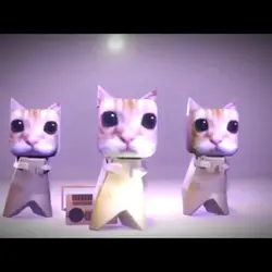gatos xd