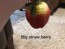 Big strawberry 😨