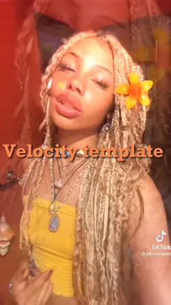 Velocity template 