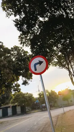 Artístico não perca