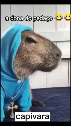 capivara meme kkkk