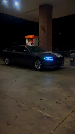 Dark to Light 