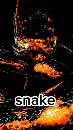 big snake 