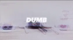 EVERYONE IS DUMB