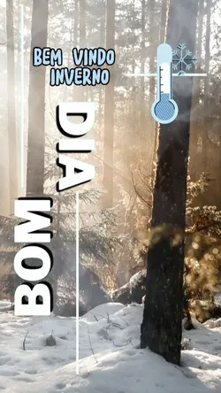 BOM DIA