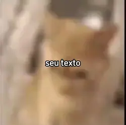 texto editável!!!!!