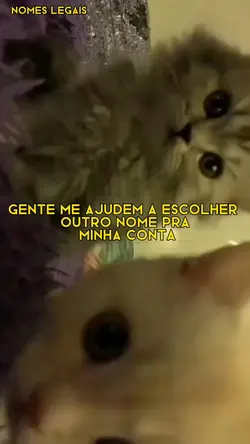me ajudem gente