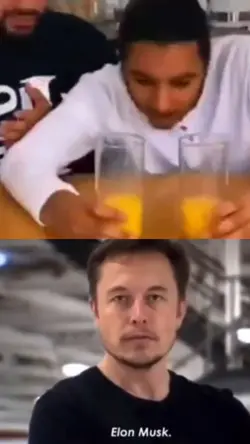 Elon Musk I MEME 