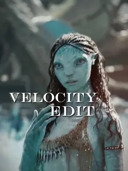 VELOCITY 