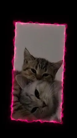 batidas 