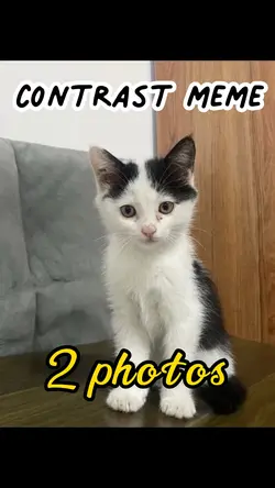 contrast meme