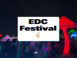 EDC✌🏻