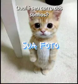 carro dos sonhos 