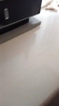 pet sonhando