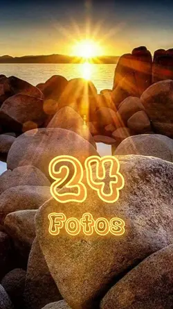 24 Fotos